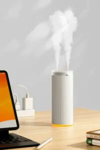 Увлажнитель воздуха купить: как выбрать подходящий вариант и не переплатит
